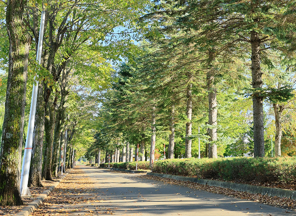 秋に向かう｜端野町 2024.12