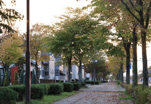 ふれあいロード｜北見市内 2022.01