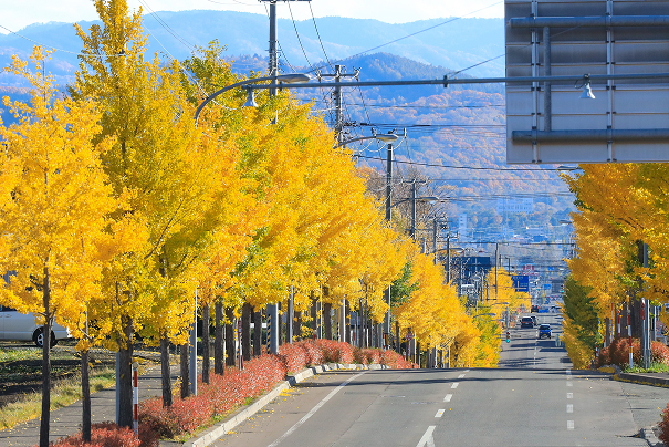 黄金ロード｜北見市内 2021.01