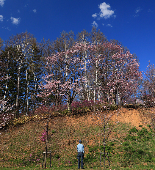 プロフィール写真